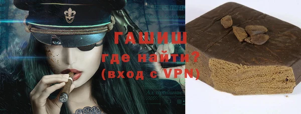 гашик Вяземский