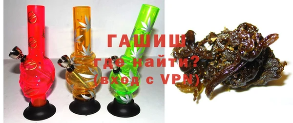 гашик Вяземский