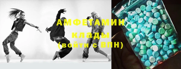 гашик Вяземский