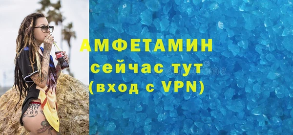 гашик Вяземский