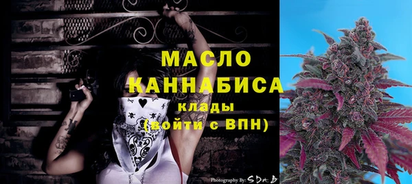 гашик Вяземский