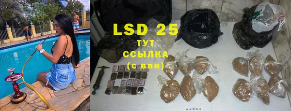 гашик Вяземский