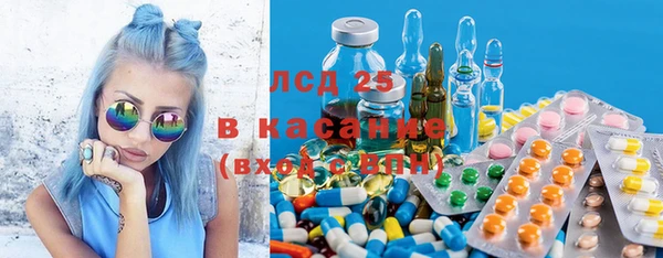 гашик Вяземский