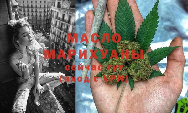 гашик Вяземский