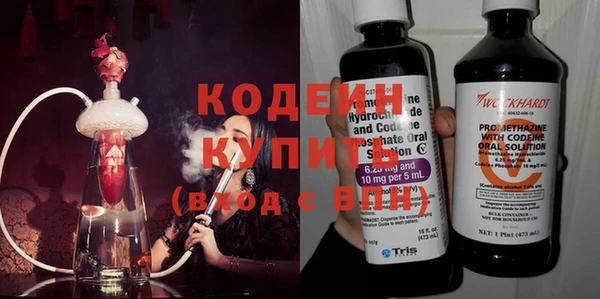 гашик Вяземский