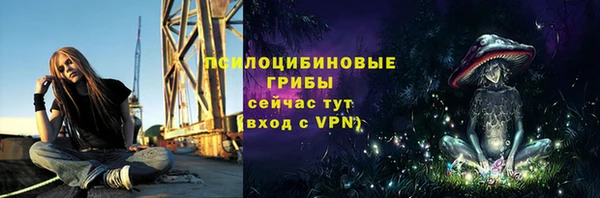 гашик Вяземский