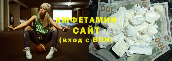 гашик Вяземский