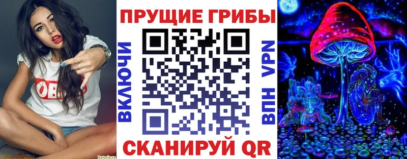 Псилоцибиновые грибы GOLDEN TEACHER  Стерлитамак 